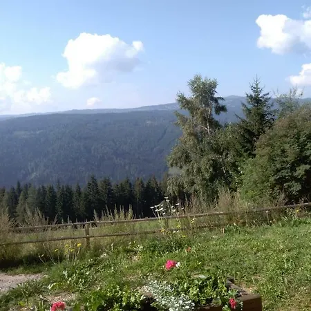 Apartment Almhütte Zirbitzblick Rüf